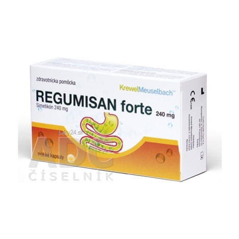 REGUMISAN forte 240 mg 30 CPS