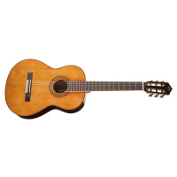 Tanglewood EM D3