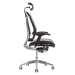 Ergonomická kancelárska stolička OfficePro Lacerta Farba: čierna