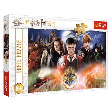 Trefl Puzzle 300 - Tajomstvo Harryho Pottera
