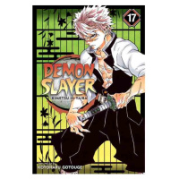 Viz Media Demon Slayer: Kimetsu no Yaiba 17