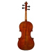 Eastman Albert Nebel Series+ Violin 4/4 (VL601G+)