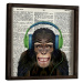 Nástenný obraz Monkey 34x34 cm III