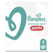PAMPERS Premium Care Nohavičky plienkové veľ. 4 (9-15 kg) 114 ks