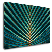 Impresi Obraz Palmový list - 60 x 40 cm