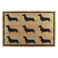 Rohožka z kokosového vlákna 40x60 cm Dachshund – Artsy Doormats