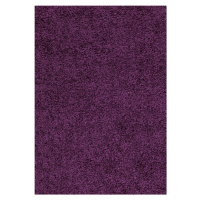 Kusový koberec Dream Shaggy 4000 lila - 120x170 cm Ayyildiz koberce