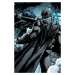 DC Comics Batman 10: Epilogue
