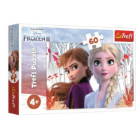 Puzzle TREFL Frozen II 60 dielikov