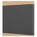 Sconto Predsieňový panel MEMPHIS dub artisan, šírka 80 cm