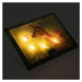 Nexos 86711 Nástenná maľba srnka na lúke, 4 LED, 30 x 40 cm