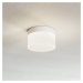 Helestra Liv – LED stropná lampa 15 cm