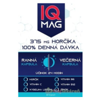 IQ MAG Horčík 375 mg 60ks