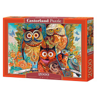 mamido Puzzle 2000 dielikov Sovy