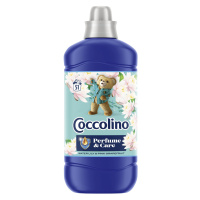 COCCOLINO aviváž Waterlilly 1.27 l