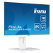 iiyama ProLite XUB2492HSU-W6 IPS monitor 24"