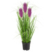 Umelá tráva Pamp v kvetináči 70 cm fialová