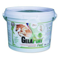 GELAPONY Fast 600 g a.u.v.