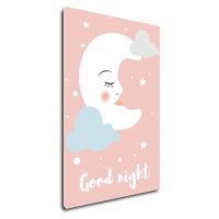 Impresi Obraz Good night pink moon - 40 x 60 cm