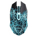 TRUST Myš BASICS GAMING WIRELESS MOUSE