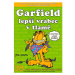 CREW Garfield 38 - Garfield lepší vrabec v tlamě