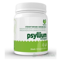 Top Green Psyllium, rozpustná vláknina, 250 cps
