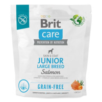 Krmivo Brit Care Dog Grain-free Junior Large Breed Salmon 1kg