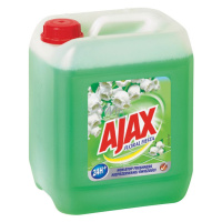 AJAX Floral Fiesta univerzálny čistič, Spring Flowers 5 l