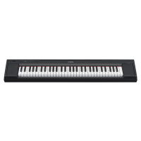 Yamaha NP-15 B