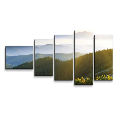 Obraz - 5-dílný Príroda - 100x60 cm