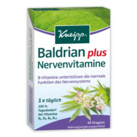 KNEIPP Baldrian plus Nervenvitamine 40 tabliet