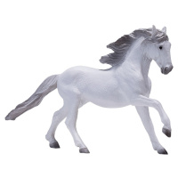 Mojo Kôň Lusitánsky biely
