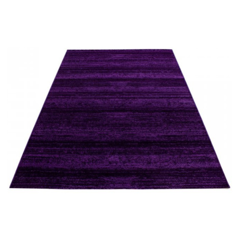 Kusový koberec Plus 8000 lila Rozmery koberca: 80x300 Ayyildiz