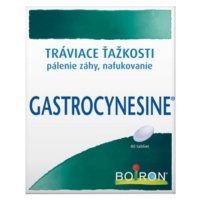 GASTROCYNESINE 60 tabliet