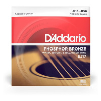 D'Addario EJ17