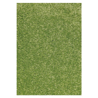 Kusový koberec Nasty 101149 Grün Rozmery koberca: 160x240