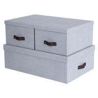 Svetlosivé kartónové úložné boxy s vekom v súprave 3 ks 31x47x15 cm Inge – Bigso Box of Sweden