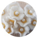 Cukrové kvety biele 10ks - K Decor - K Decor