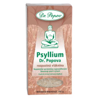 DR.POPOV Psyllium rozpustná vláknina 100 g