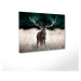 Obraz 85x113 cm Deer - Styler