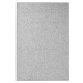 Sivý koberec 60x90 cm Wolly – BT Carpet