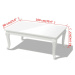 Konferenčný stolík biela vysoký lesk Dekorhome 100x60x42 cm,Konferenčný stolík biela vysoký lesk