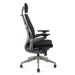 Ergonomická kancelárska stolička OfficePro Karme Farba: modrá