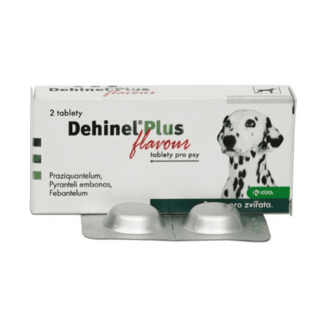 DEHINEL Plus flavour 2 tablety