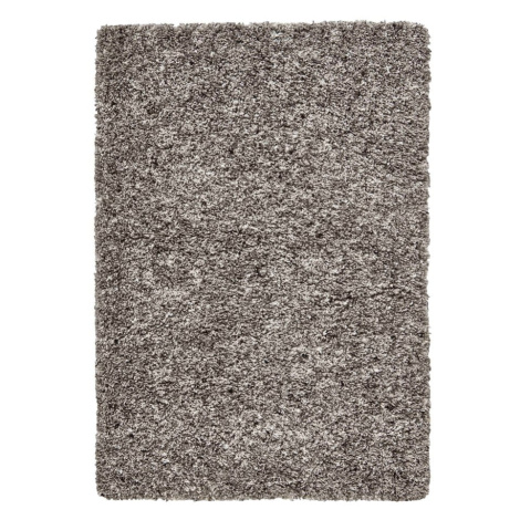 Sivý koberec 240x340 cm Vista – Think Rugs