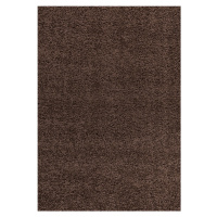 Kusový koberec Dream Shaggy 4000 brown Rozmery koberca: 80x150