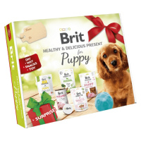 BRIT Care Box Dog Puppy Healthy Delicious darčekový box pre šteňatá 2023