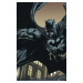 DC Comics Batman Eternal 1 (The New 52)