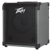 Peavey Max 100