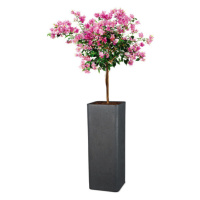 Scheurich Vysoký kvetináč Cube High, 26 x 26 x 70 cm (výška 70 cm, žula/čierna)